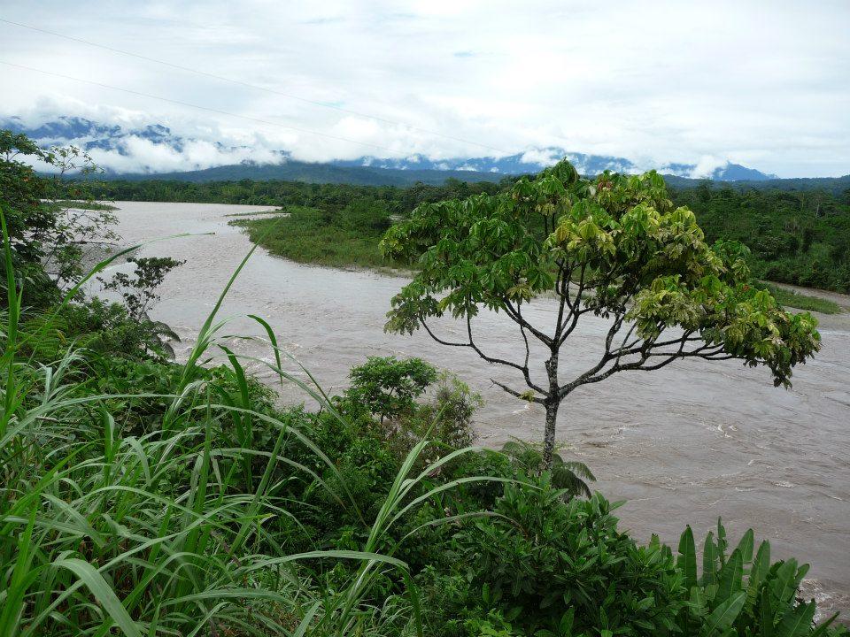 Agricultural Nationally Appropriate Mitigation Actions