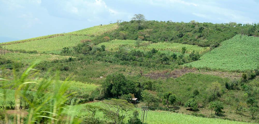 Agricultural Nationally Appropriate Mitigation Actions