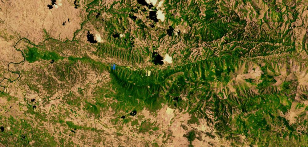 Business Models to Address Drivers of Deforestation
