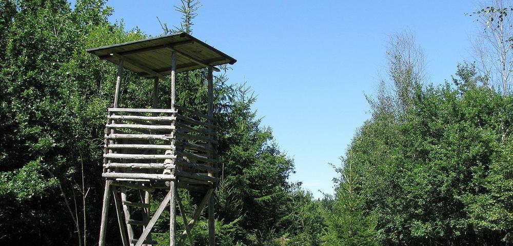 Certification of Vocational Training on Hunting