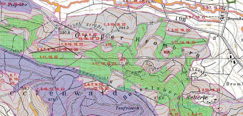 Coordination of expert studies within N-2000 forest sites in Baden-Wurttemberg