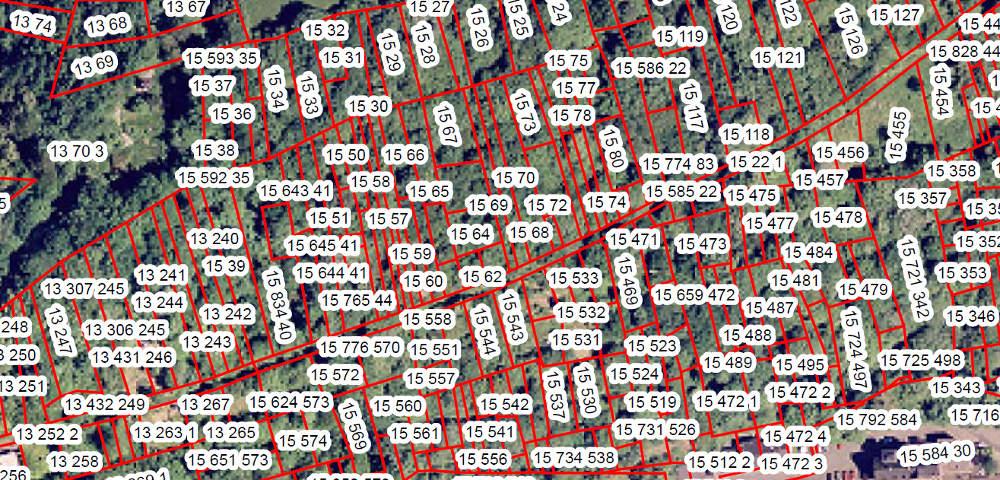 Efficient Forest Land Consolidation