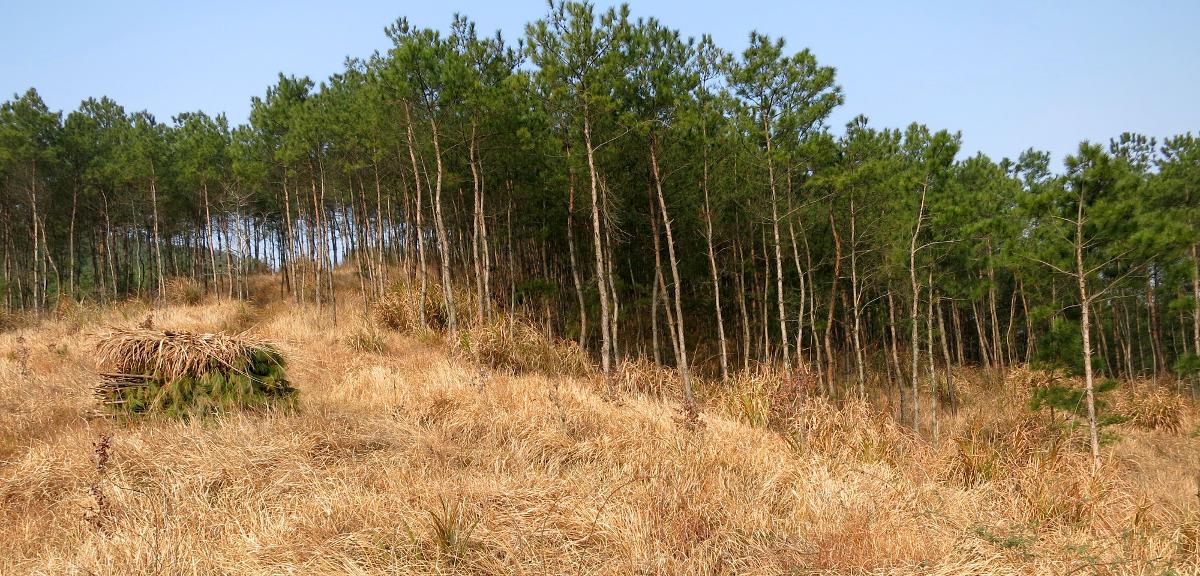 Fact Finding for Biodiversity and Natural Resources Loan