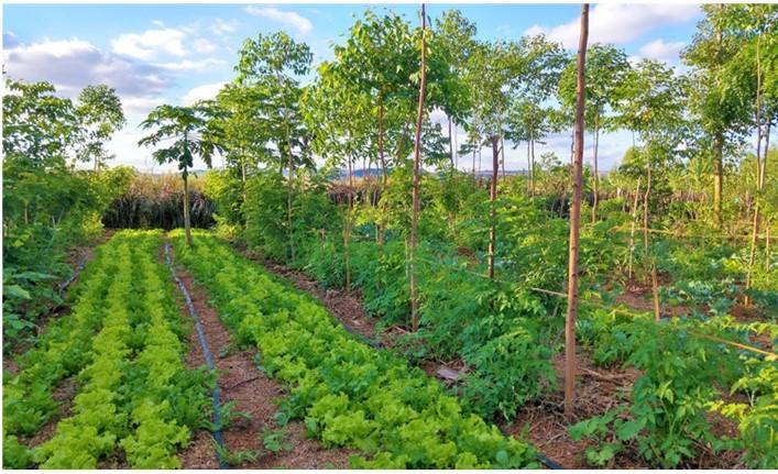 Forestry Training Management System Review