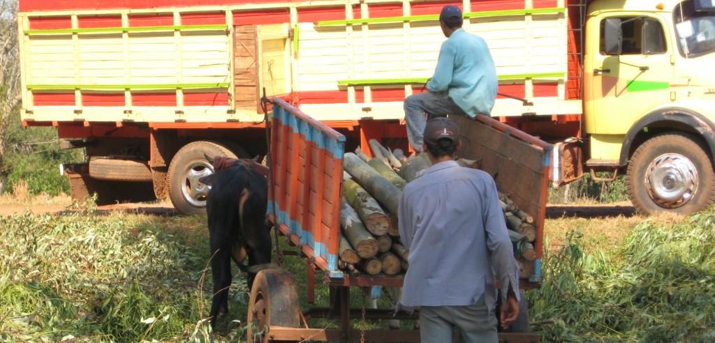 Impact monitoring project “Management of natural resources” (PMRN)