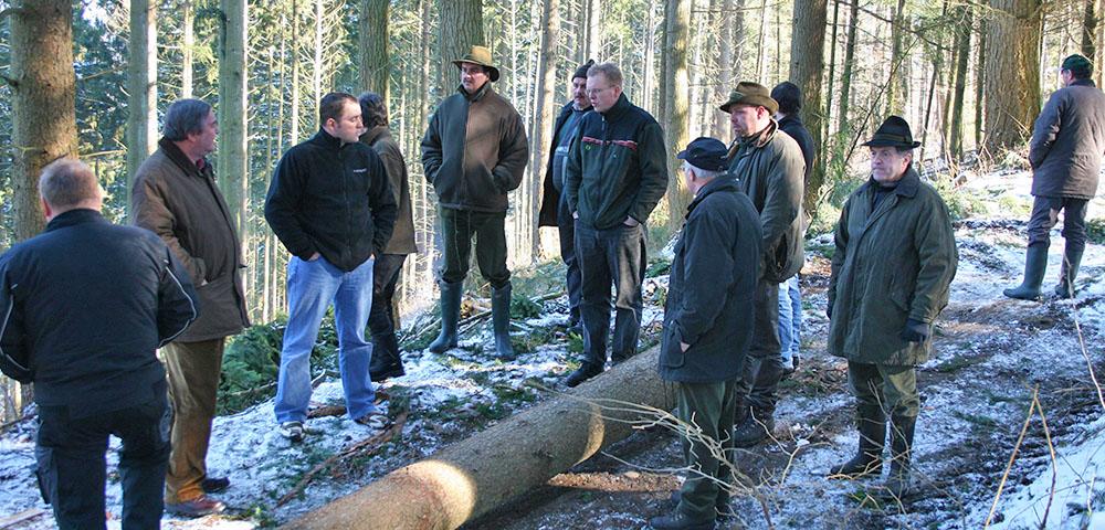 Improvement of the Wood Supply in the Eifel