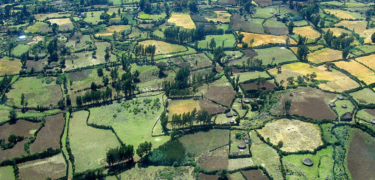 Mainstreaming Carbon Finance