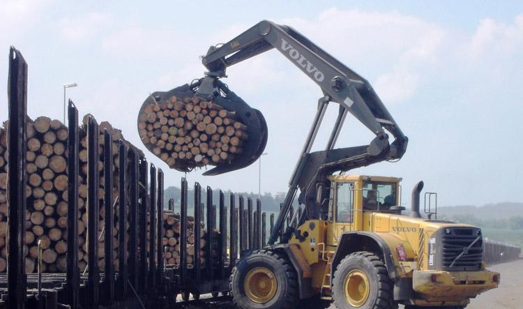 Market Analysis of FSC Timber in the Sawmill Industry