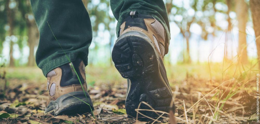 Monitoring and Communication for Forestry Change Processes