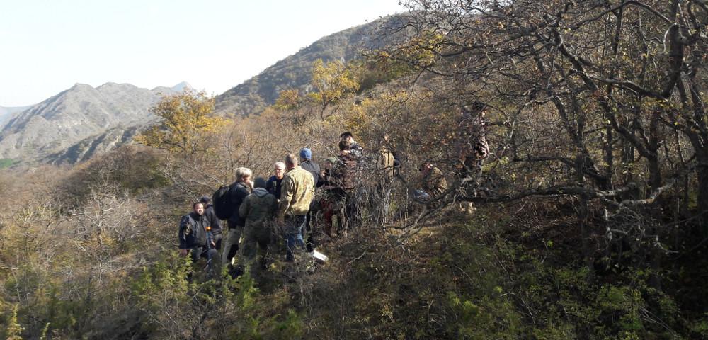 National Forest Inventory
