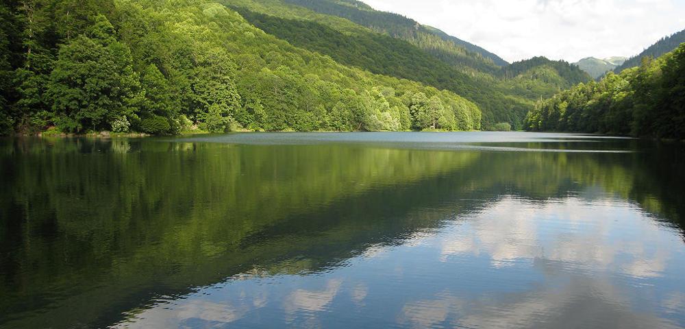 National Forest Strategy and Establishment of Natura 2000