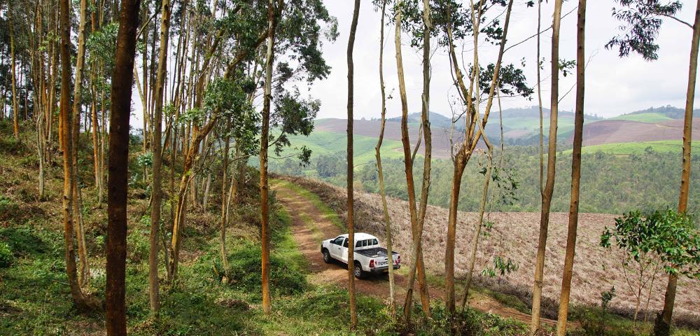 Optimising Wood-Fuel Supply