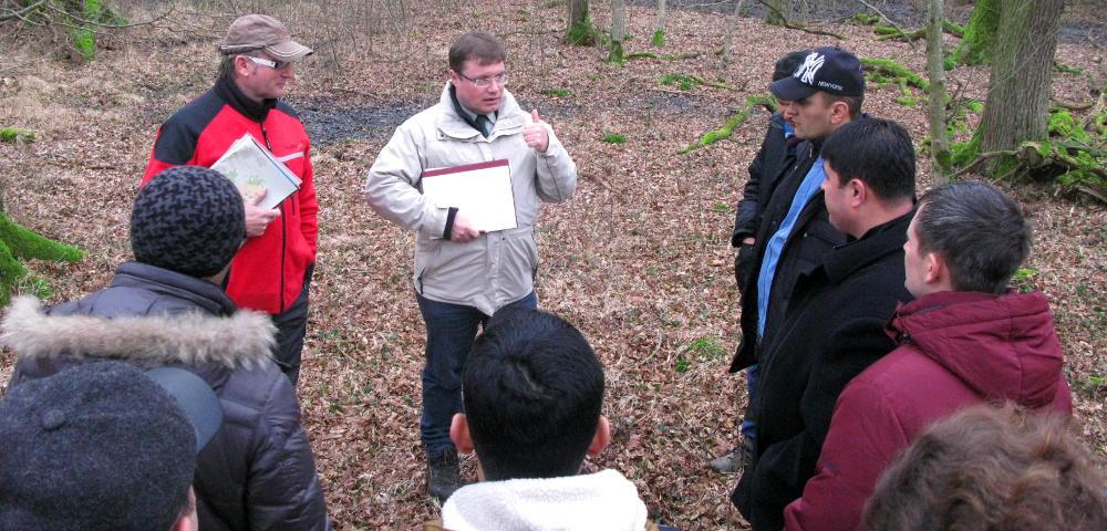 Preparation of the National Forest Inventory