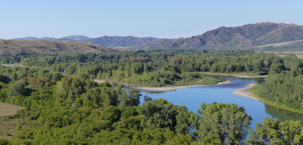 Private Sector Investments in Afforestation