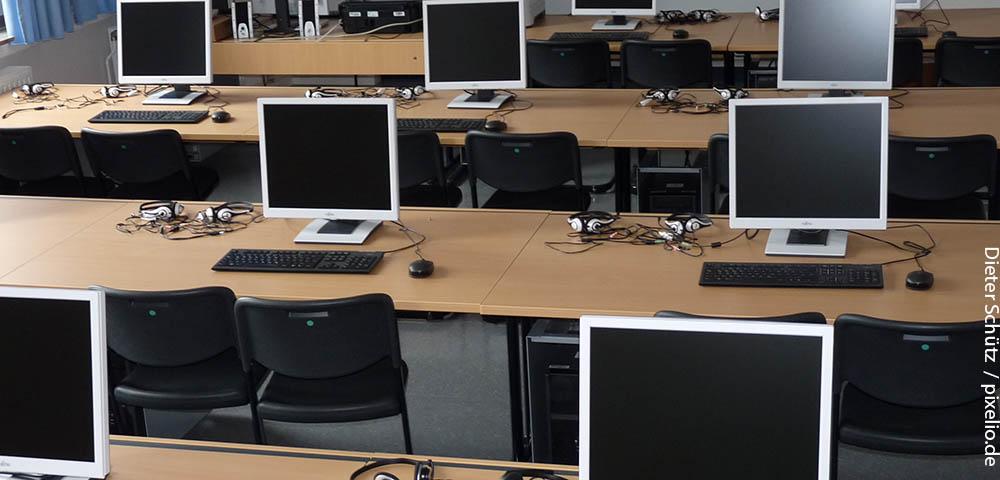 Quality assurance, documentation and training for the forestry software DSW2