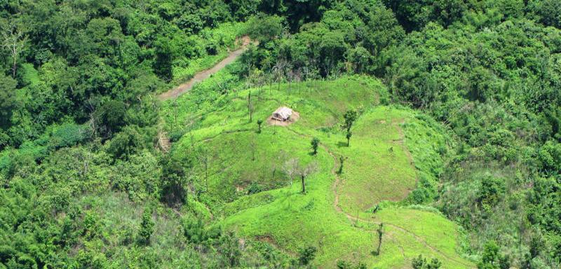 REDD+ Costs Assessment