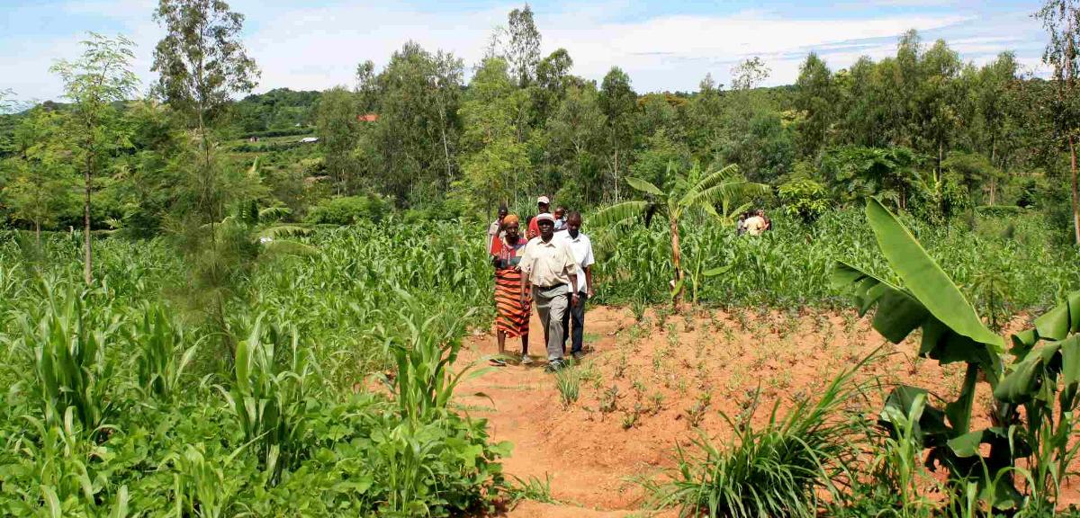 SACAU’s Climate Smart Agriculture Work Program