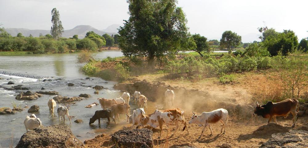 Sustainable Land Management Programme