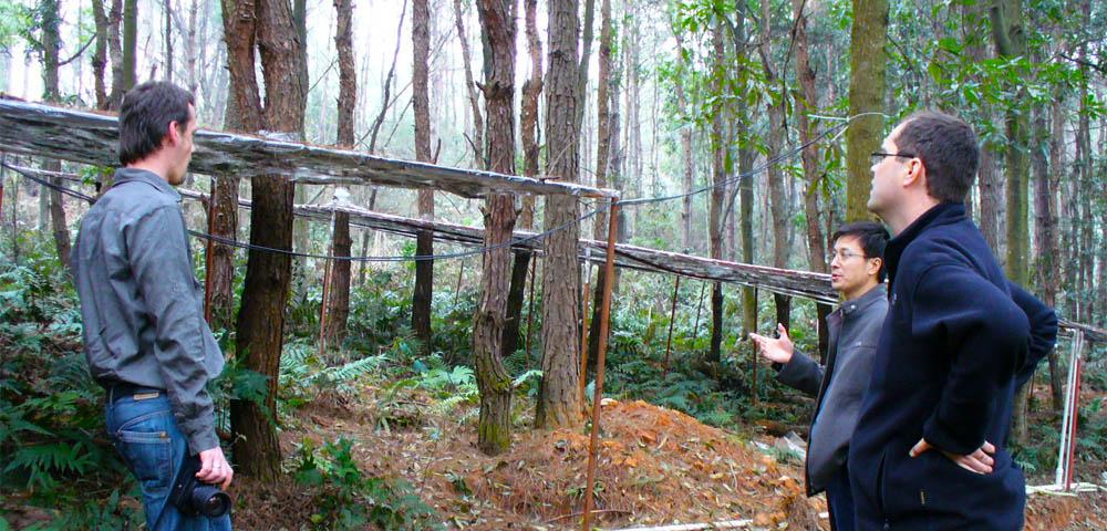 Sustainable Multifunctional Land Use Systems